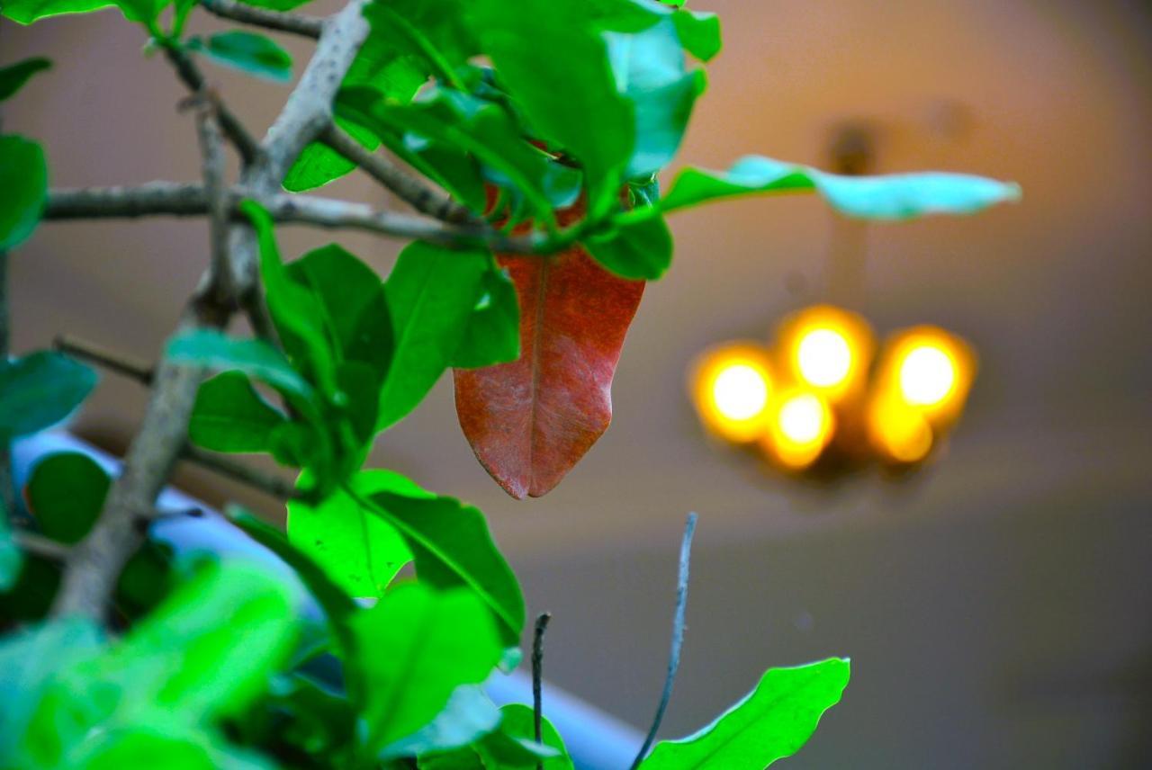Malaiya Homestay - Grandeur Living Experience Jabalpur Zewnętrze zdjęcie